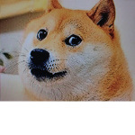 Doge_pup club