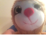 TEAM. SLOTH. FOREVER