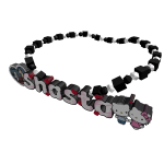 chris+shasta necklace 1.0