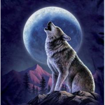 The Wild Wolf