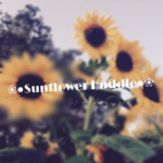 Sunflower Huddle!