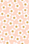Teddy bear stars 12