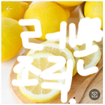 레몬 조직