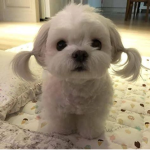 little!