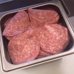 The Salami Lid icon