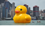 mr.Ducky giveaways