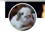 Love bunnies squad