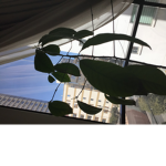 El grupo de las plantas