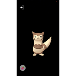 Romania tik tok pokemonfurret
