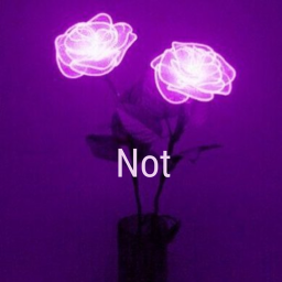 Not