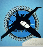 nato elite pilots