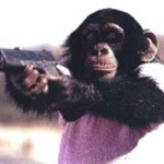 Monkey Killers