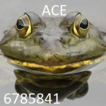 A C E dla nas