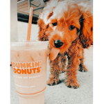 Puppies_Squad!!!