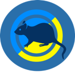 chaotic rats