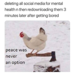 Chicken and friends!