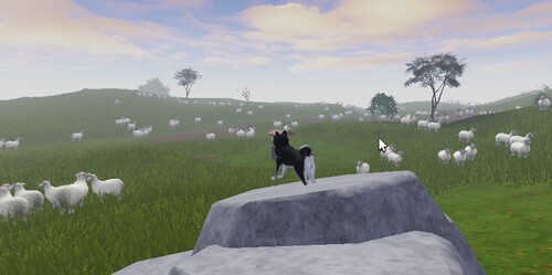 Sheep Dog Simulator 