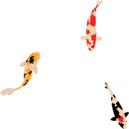 koi fish 3 Roblox decal