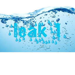 The Leak 1