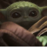 The official Star Wars baby yoda group