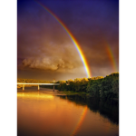 The rainbow chat