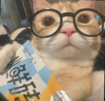 Kiiteezz