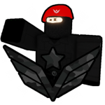 Private State Military Organization