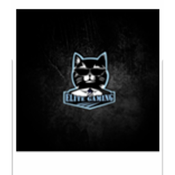 CatNation YT hangout (Rebranding)