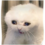 Eeeeeeeeeeeeeeeeeeeeeewwwwwwwwwwwwwwwwwwwwwwwwwwww
