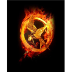 -Hunger Games Tributes-