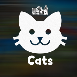Cats 😸