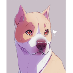 •Pitbull #######