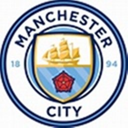 Manchester City FC Pitch