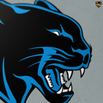 *=NFL=* Carolina Panthers