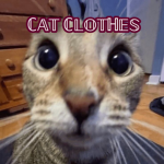 _Cat Clothes_