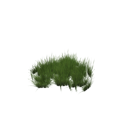 Grass Patch