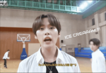 *Stray Kids fan group