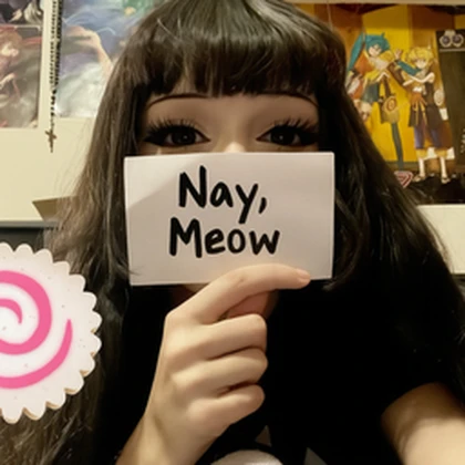 Nay, Meow Roblox group icon