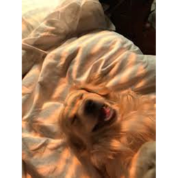 ;]
