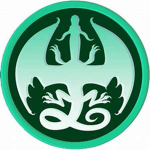 Wings Of Fire Vibe Group