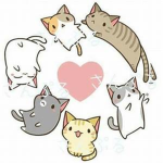 Catos Are The Best Animal