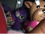 New cowy and friends so nice to play
