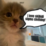 skibidi sigma clothing