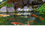 Natural Creators