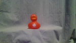 DT6 Duck Team 6