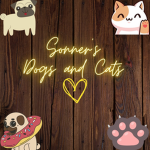 sonners dogs and cats <3