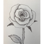 Drawing crew forever