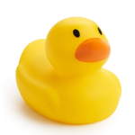Hide that duck