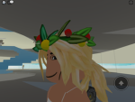 -PlNK-