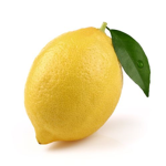 Citronisboy fan group